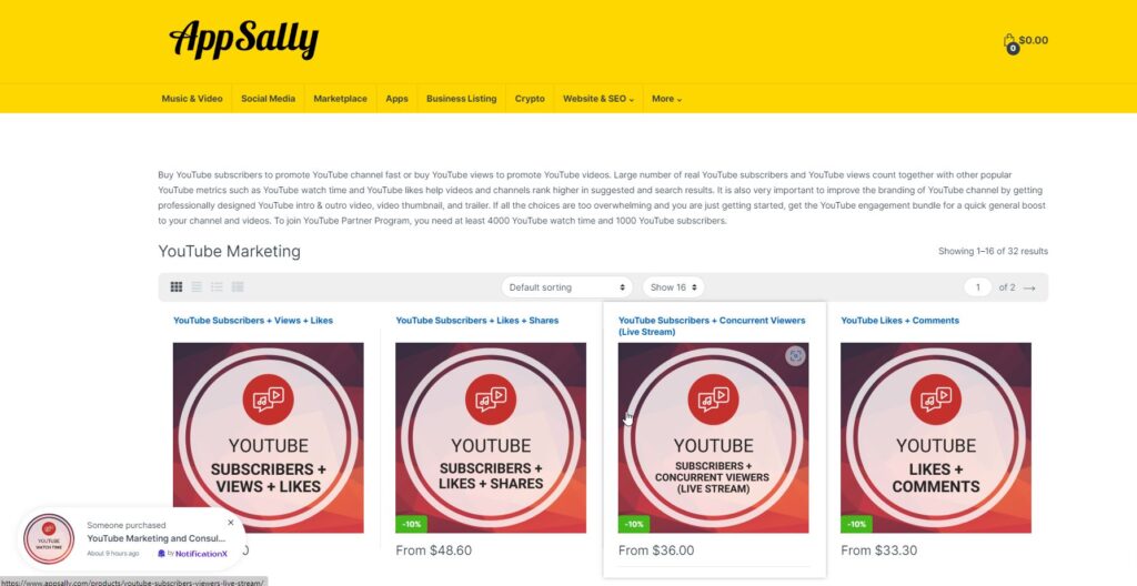 buy youtube watch hours using AppSally