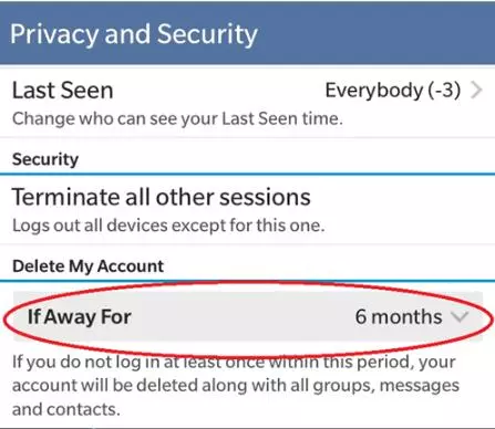 Delete My Account Telegram in IOS